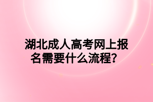 湖北成人高考网上报名需要什么流程？