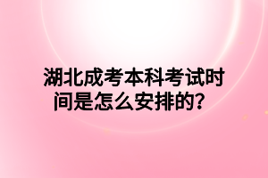 湖北成考本科考试时间是怎么安排的？