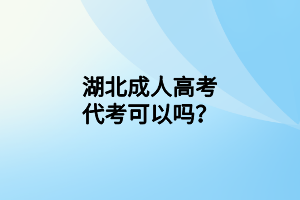 湖北成人高考代考可以吗？