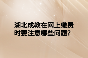 湖北成教在网上缴费时要注意哪些问题？