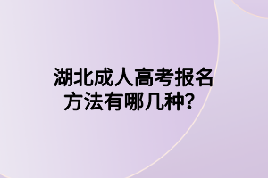 湖北成人高考报名方法有哪几种？