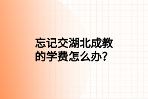 忘记交湖北成教的学费怎么办？