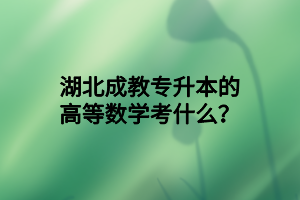 湖北成教专升本的第一学历是什么？