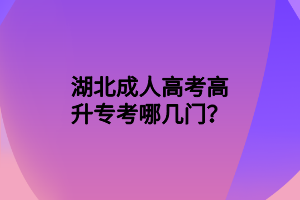 湖北成人高考高升专考哪几门？