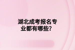 湖北成考报名专业都有哪些？