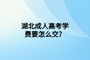 湖北成人高考学费要怎么交？