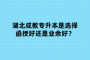 湖北成教专升本是选择函授好还是业余好？