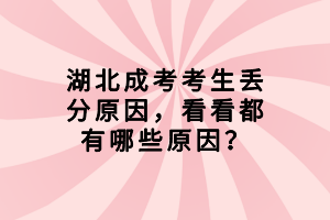 湖北成考考生丢分原因，看看都有哪些原因？