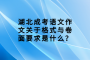 湖北成考语文作文关于格式与卷面要求是什么？