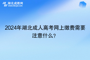 2024年湖北成人高考网上缴费需要注意什么？