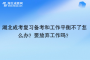 湖北成考复习备考和工作平衡不了怎么办？要放弃工作吗？