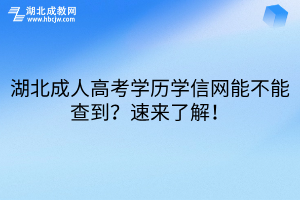 湖北成人高考学历学信网能不能查到？速来了解！